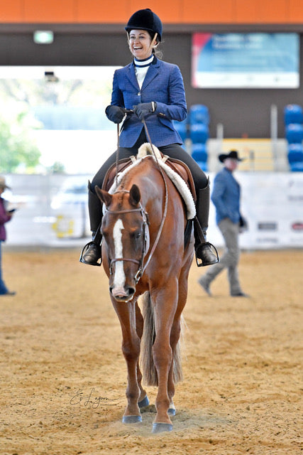 Reversible Dickies Horse Show Collar